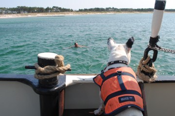 Schwimmen mit Bademeister